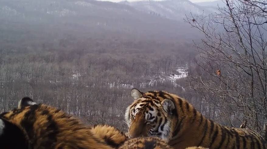    Источник фото: