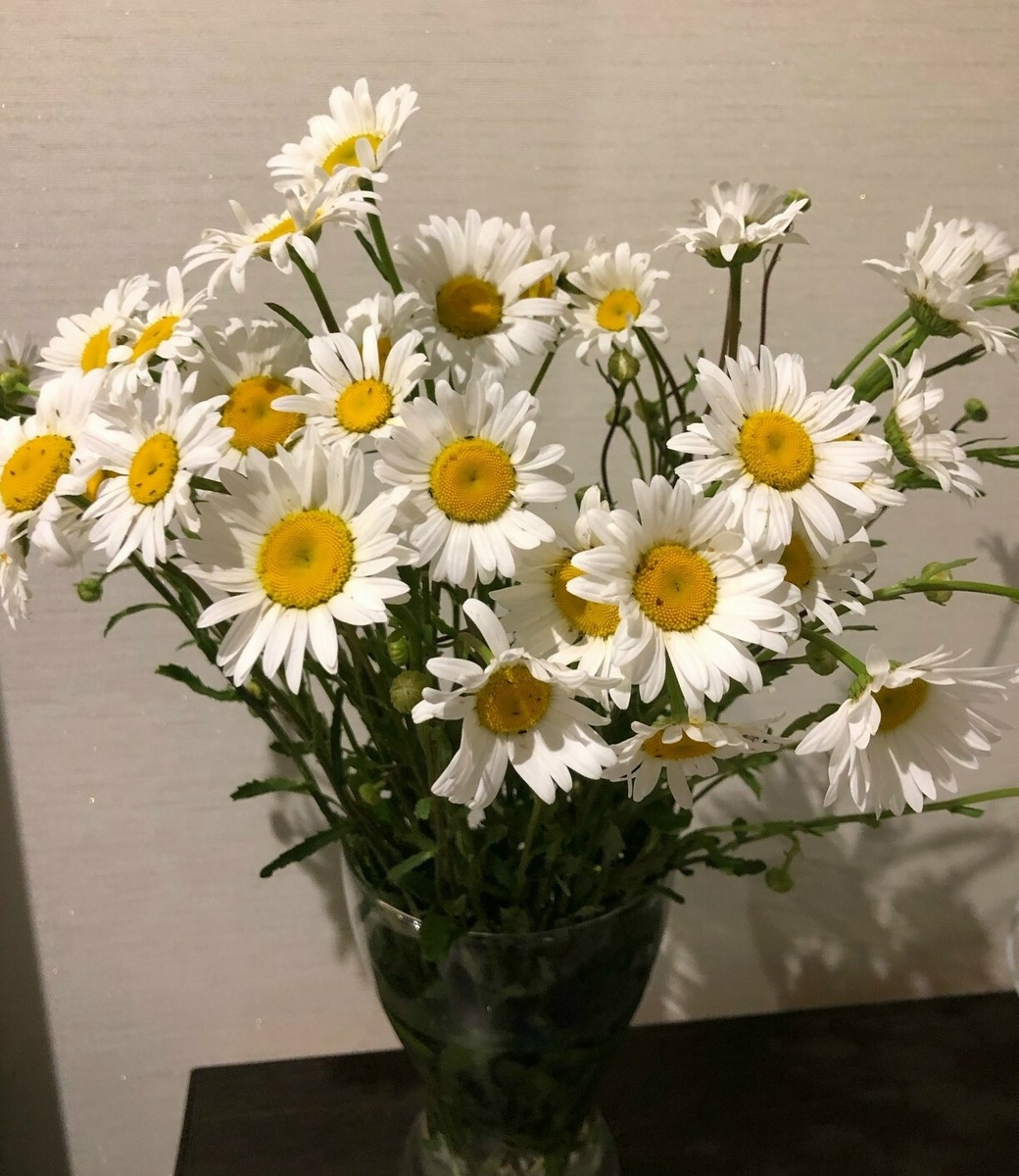     “Күҙемә күренмә!” тип ҡарғап ҡысҡырып ҡалғайны ҡатыны...