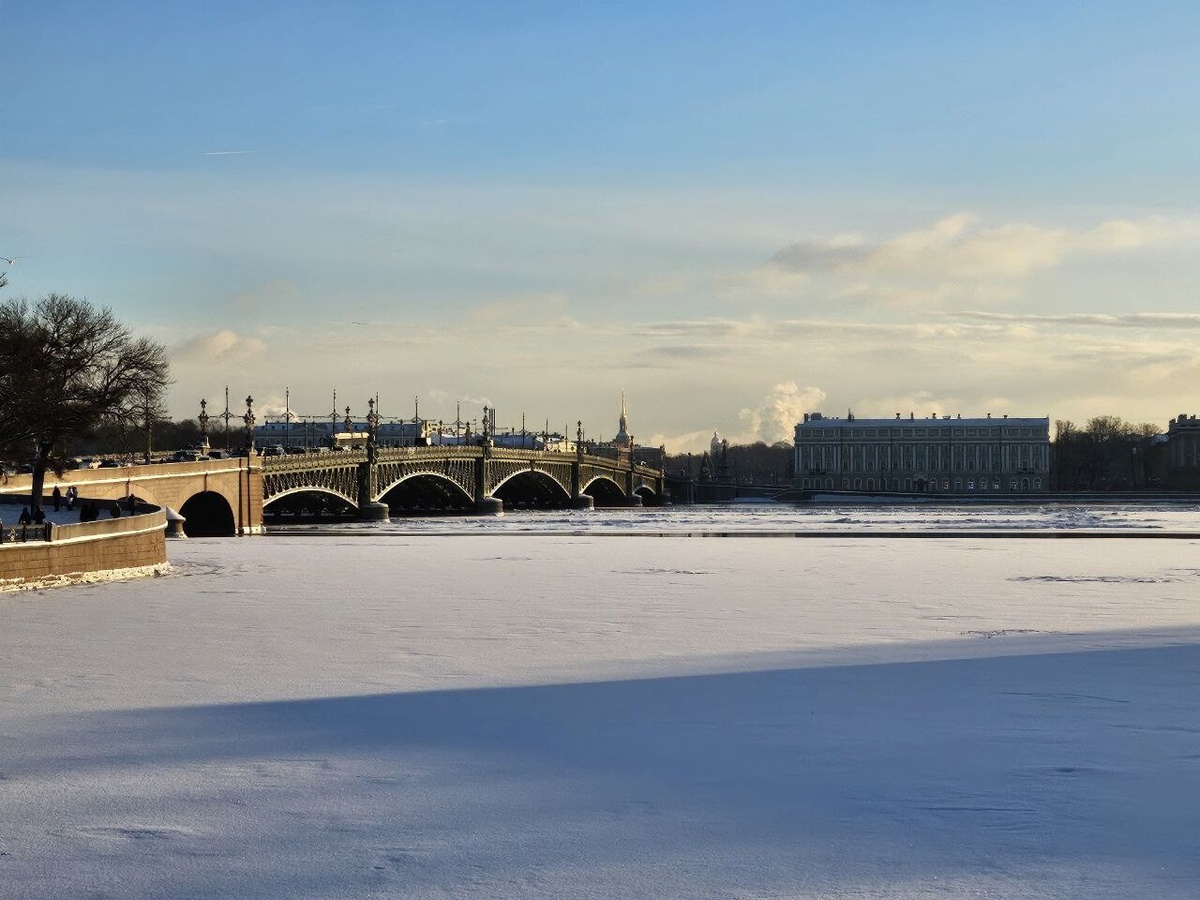     Фото: Бриф 24