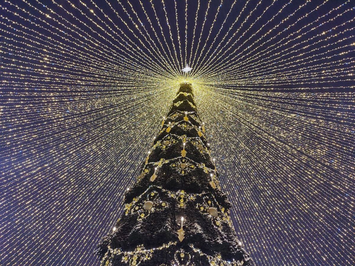    © Алёна Бронникова