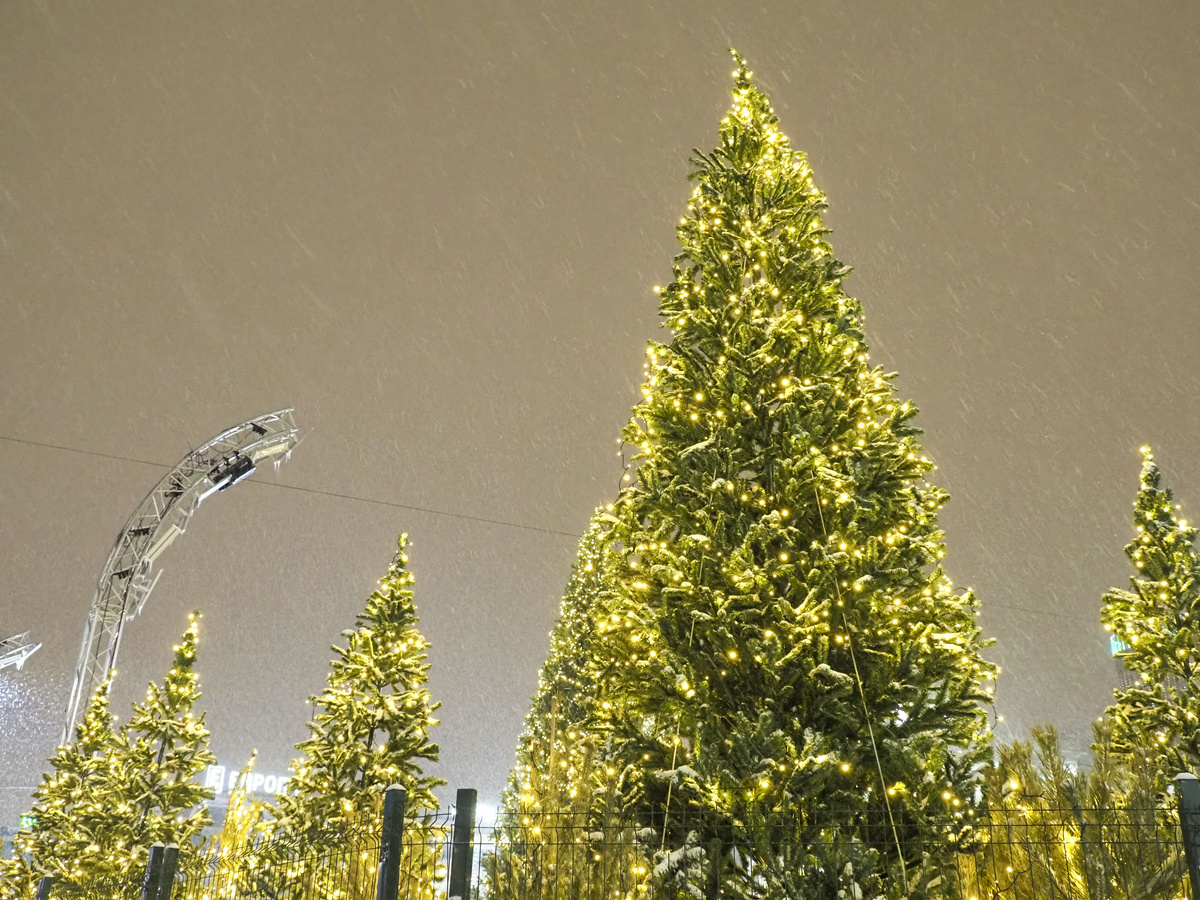 Чебоксары превратятся в сказочный город: вся программа главного праздника зимы.  Фото: Фото: ФедералПресс / Антон Федулов