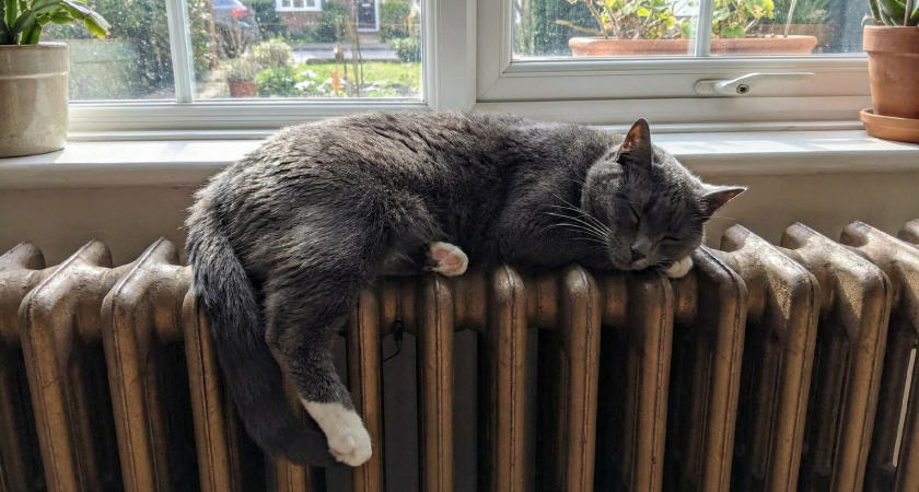    Фото usolie.info