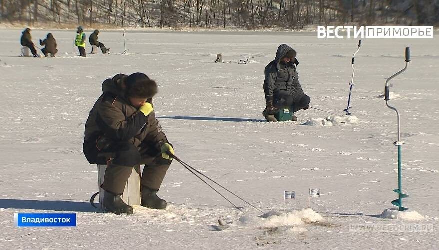    Источник фото: