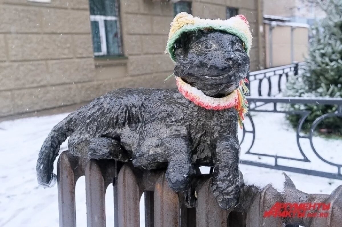    Морозы прогнозируются в Прикамье на предстоящей неделе