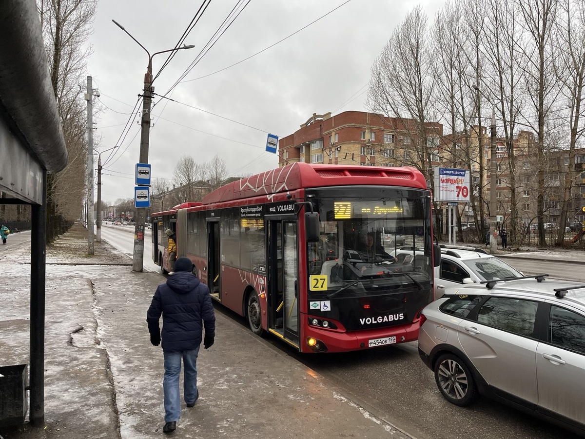    © Олег Антонов