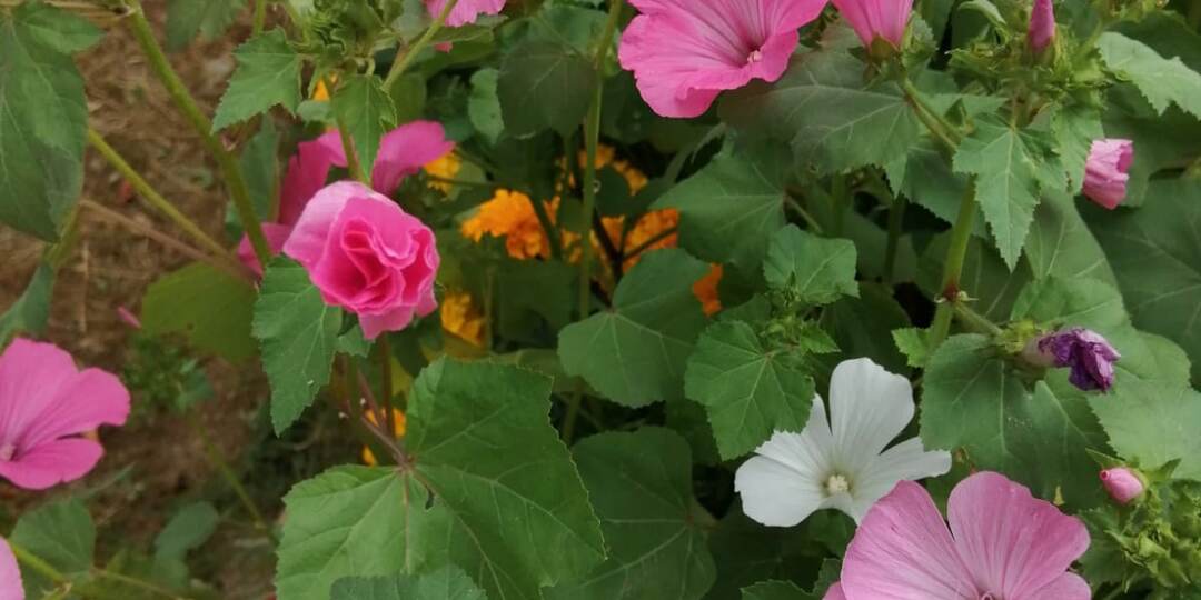 — Да не от твоего мужа родила. Ты же отказалась от суррогатства, а мы с заказчиком естественно зачали.