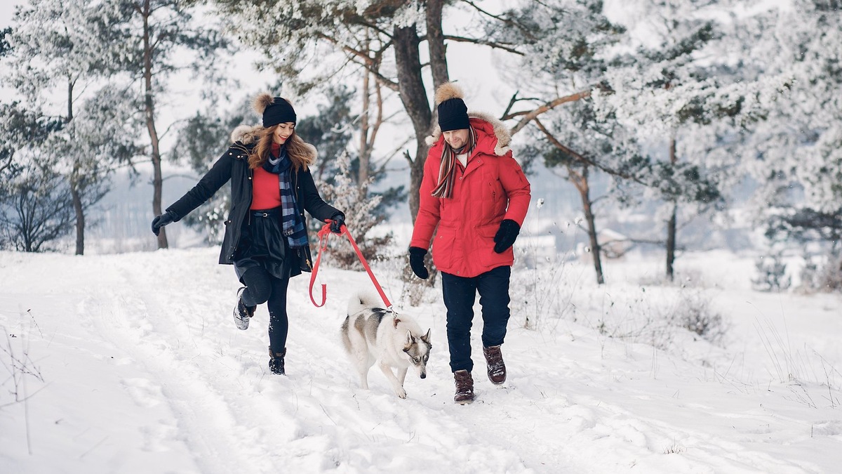    Короткие и частые прогулки в светлое время суток предпочтительнее длительных походов в мороз
