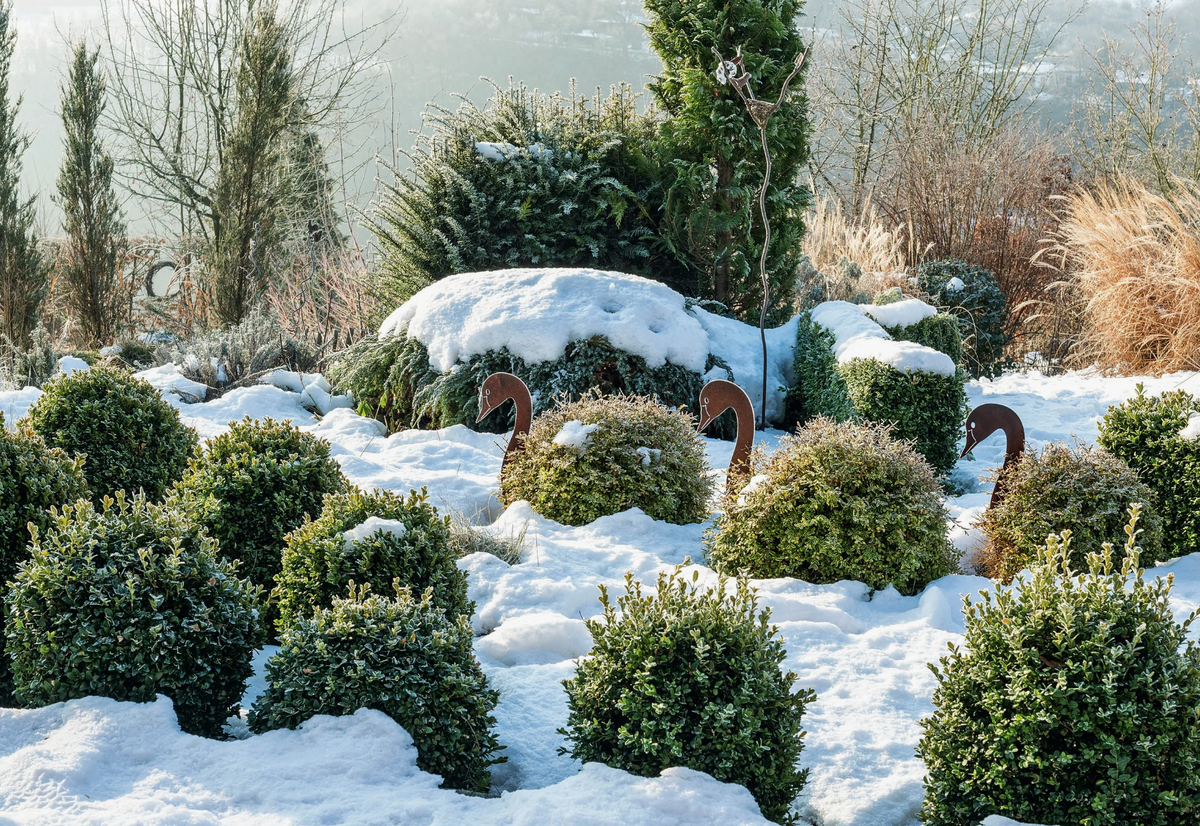 Источник фото: woman.rambler.ru