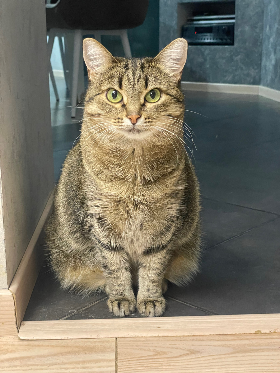 Мурзилка. «Фото как на паспорт» - сказала Лера 