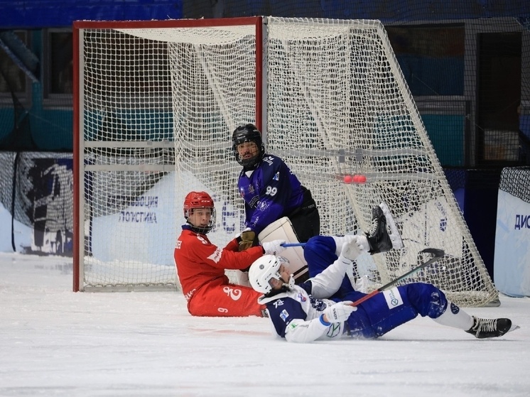     Фото: ХК "Енисей"