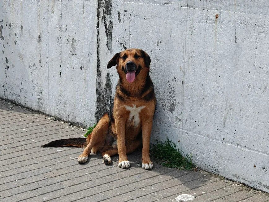    Фото: Юрий Серебренников/BFM Кубань