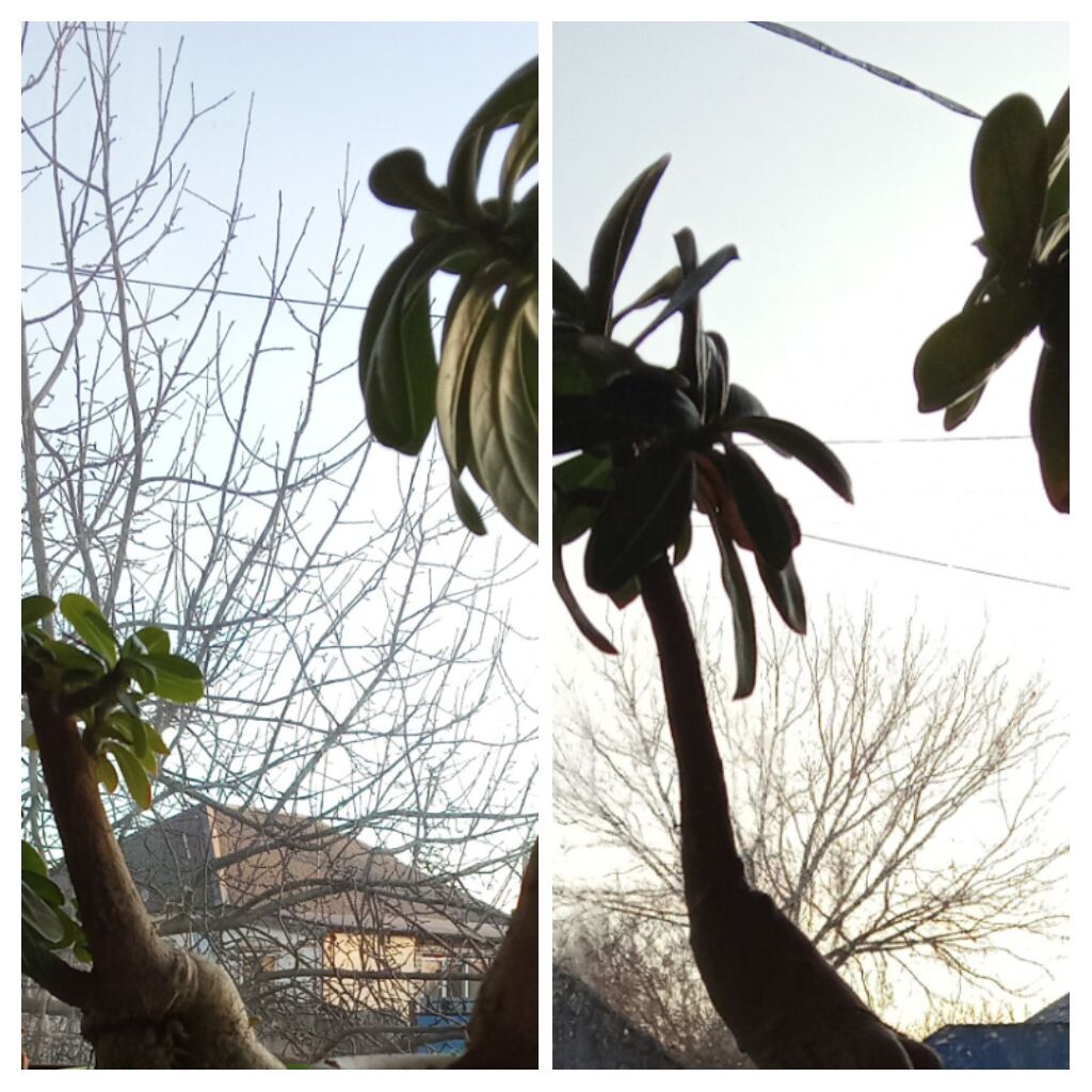 На улицу утром не охота было выходить 😉