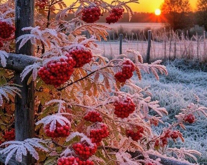 ❄️Доброе утро