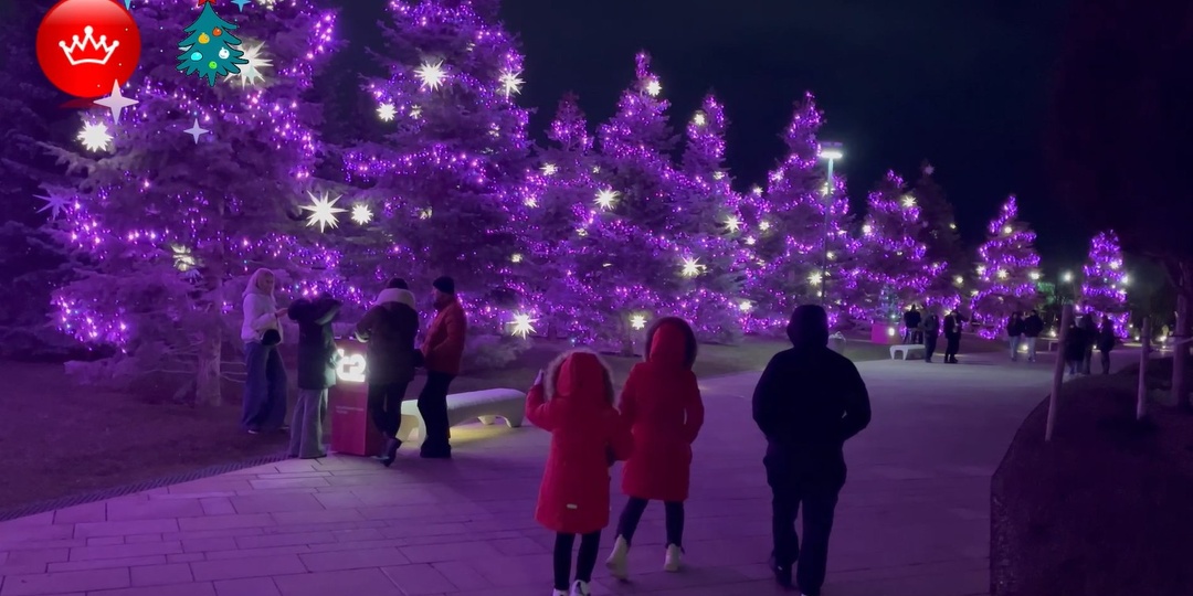 Парк Галицкого новогодняя Атмосфера праздника 2026🐴