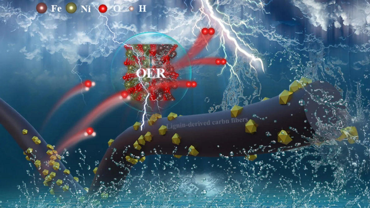    Углеродные волокна, полученные из лигнина, способствуют реакции выделения кислорода.