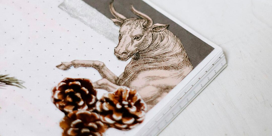 Что такое карта желаний, как ее сделать и работает ли она