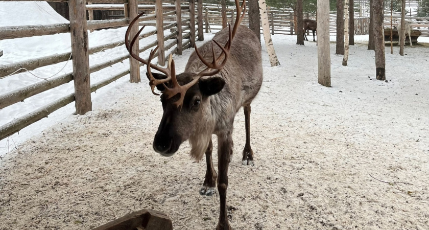    Фото редакции