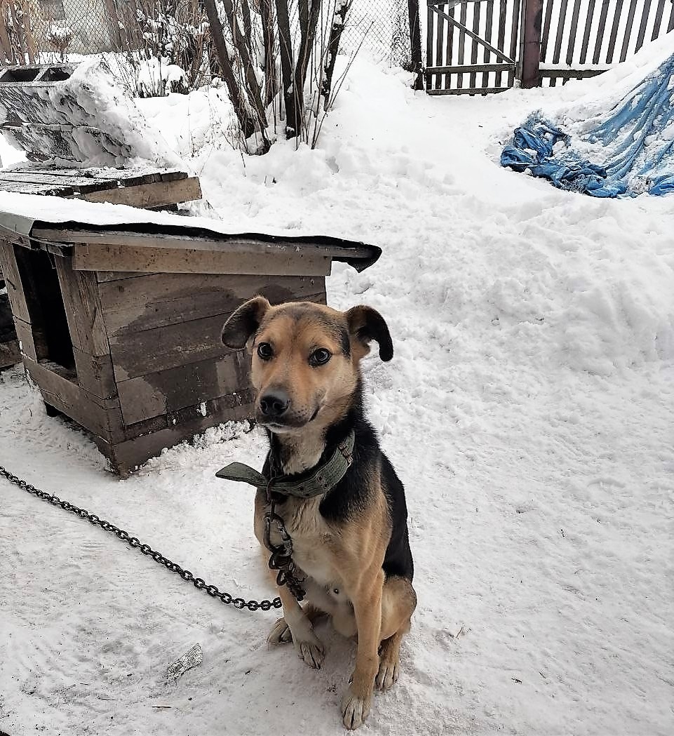 Благодарю за фото Наташу (Мусю)