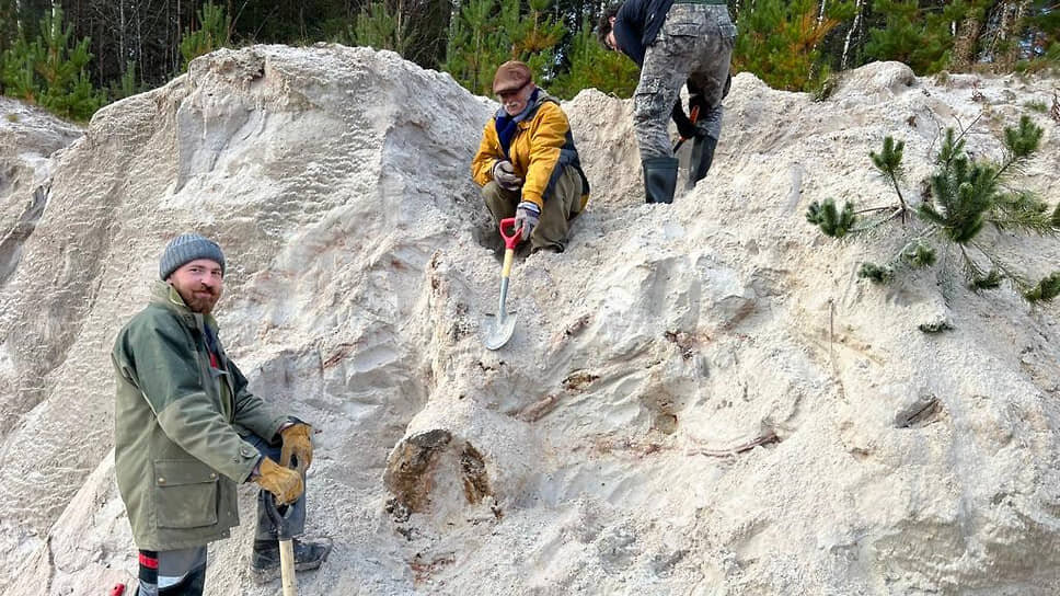 Раскопки на месте обнаружения объекта, похожего на один из древнейших пней на Земле.📷Фото: Из личного архива Дмитрия Григорьева