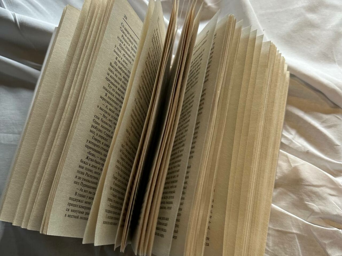     Фото: "Бриф24"