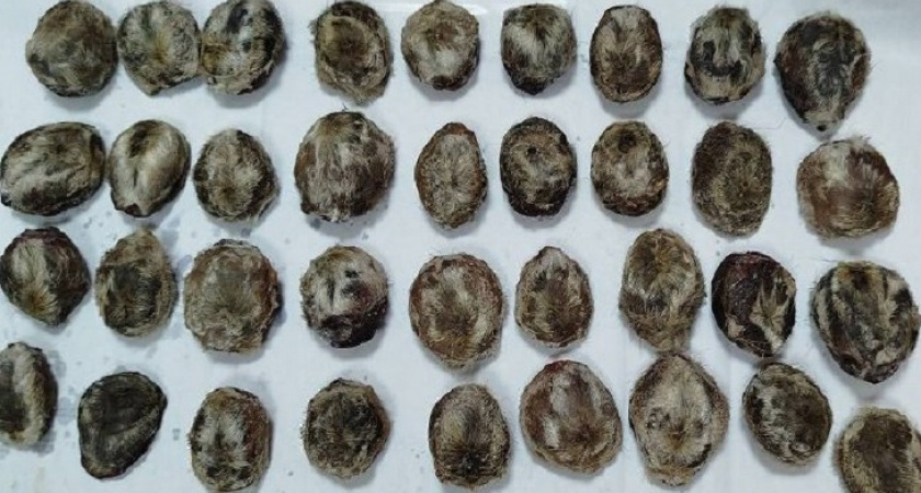    Фото из телеграм-канала Восточно-Сибирской транспортной прокуратуры