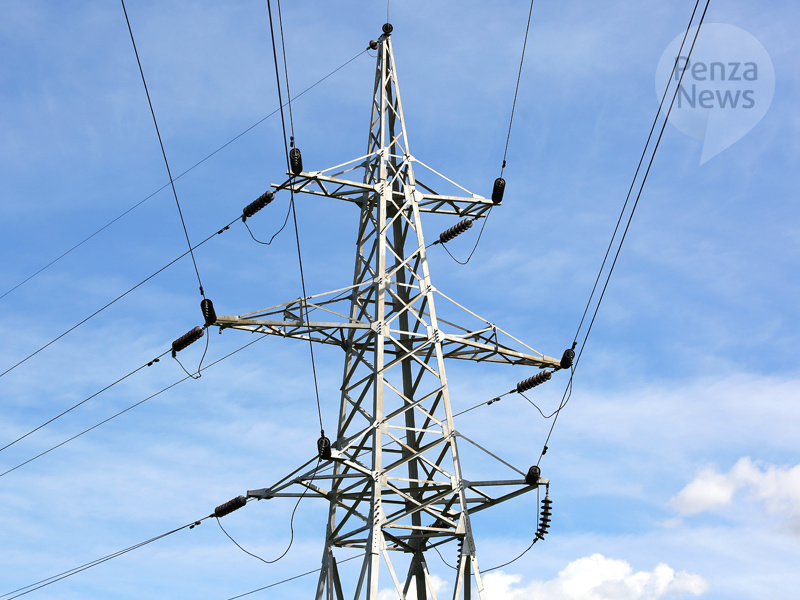    © Фото из архива ИА «PenzaNews»