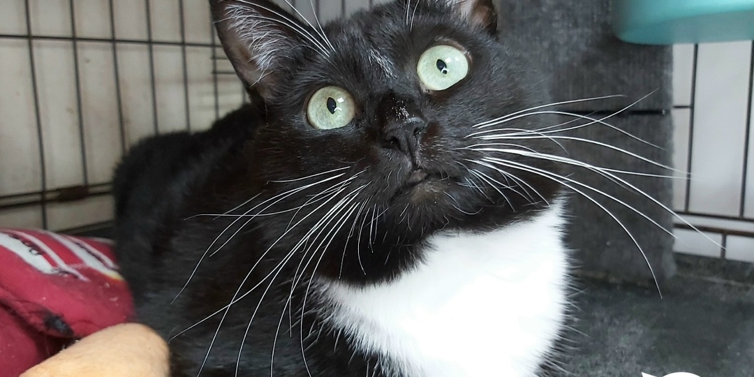 Путь Эфрисы из трудного детства в счастливую домашнюю жизнь