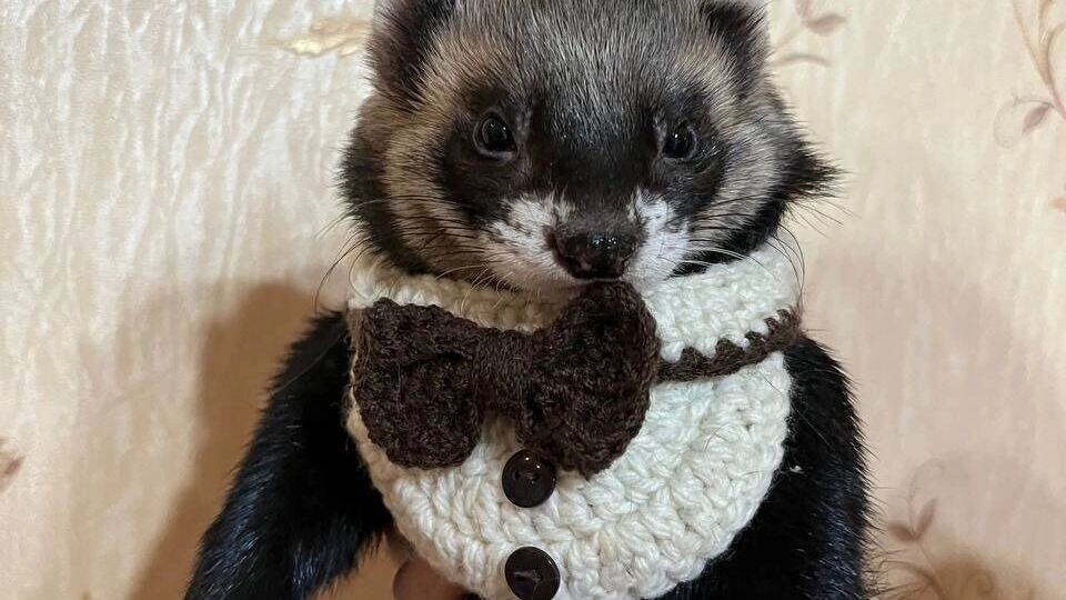     Источник: предоставлено организаторами