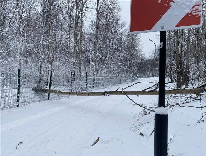    ФОТО: ГАУ ДО "СШ "Чайка"