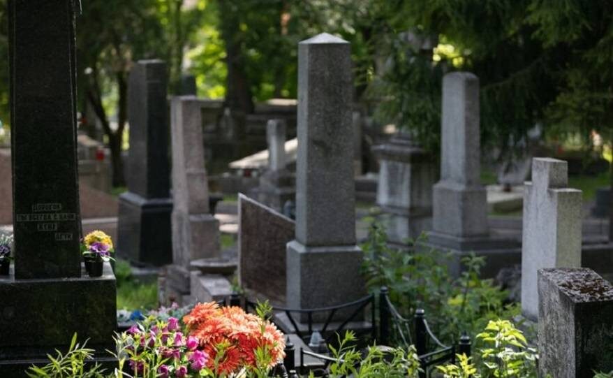 Источник фотографии https://vestiprim.ru/news/ptrnews/137028-chuzhak-v-mogile-skandalnoe-delo-slushaetsja-v-sude-vladivostoka.html