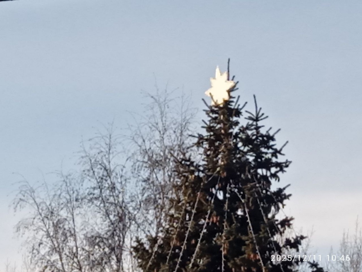 г.Омск  сквер им. А.К.Серова  около администрации ЛАО г.Омска