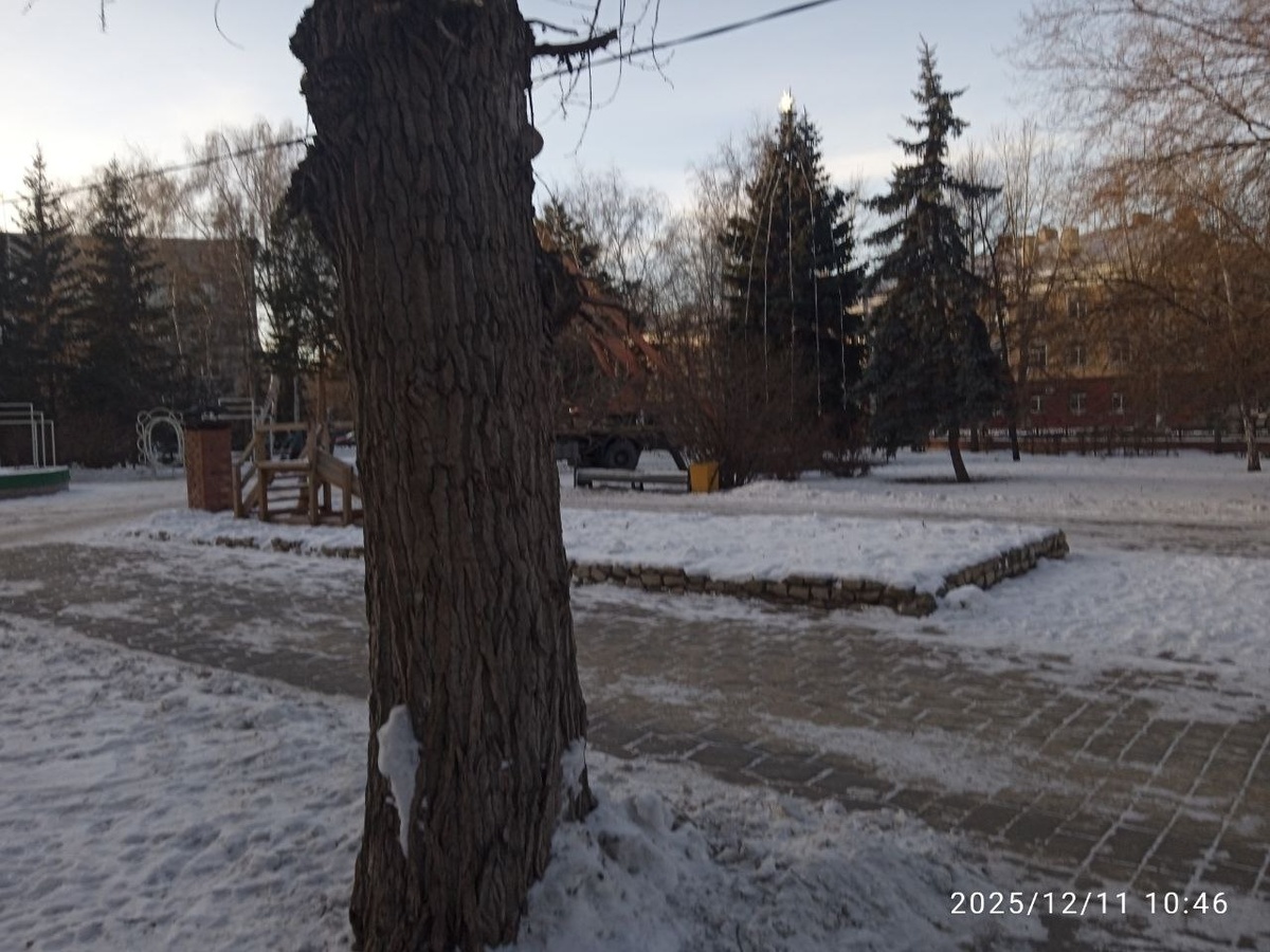 На верхушке елки Вефлееемская звезда...