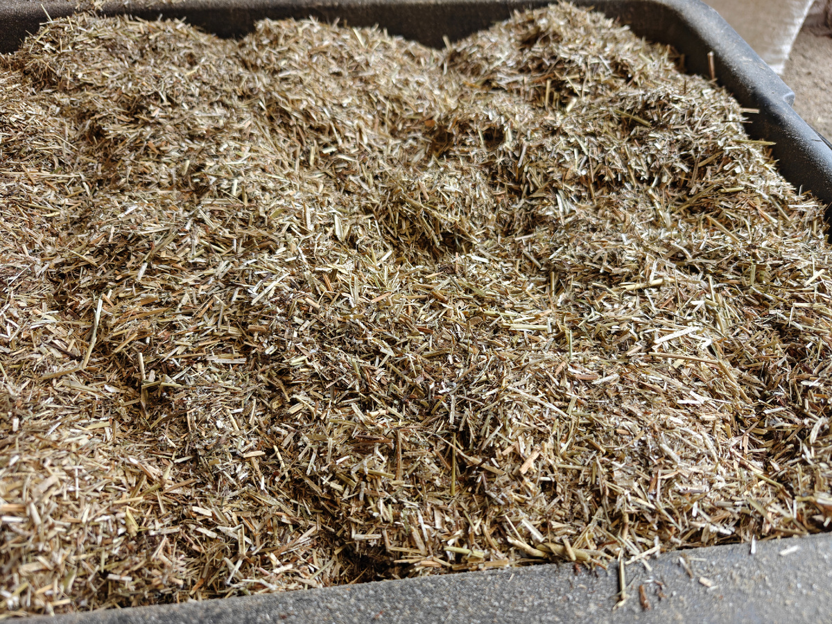 Сено после сенорезки