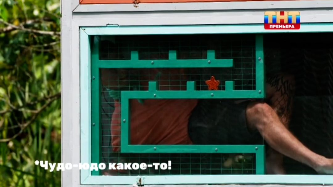 Кадр из шоу «Звёзды в джунглях. Карибский сезон»