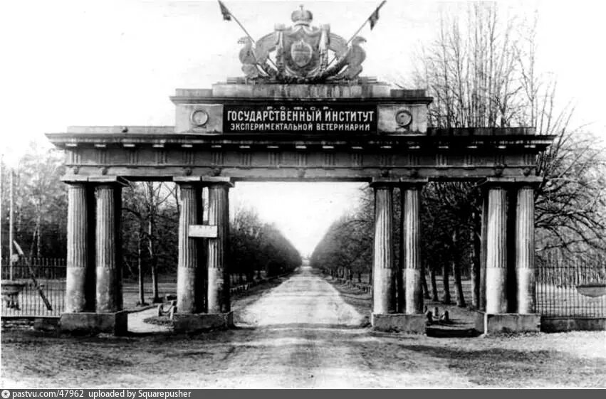 Чугунные ворота у въезда в усадьбу  Кузьминки.  В 1918  году здания, дворцы, ранее принадлежавшие князьям Голицыным, занял Институт Экспериментальной  ветеринарии,  о чем и свидетельствует надпись на фронтое чугунных ворот, поставленных в 1831 году  на въезде  в Липовую аллею.  Это была копия Петербургских ворот по проекту Росси — двойная колоннада с аттиком и гербом Голицыных. from=tabbar&img_url=https%3A%2F%2Fpastvu.com%2F_p%2Fd%2Fd%2F6%2Ff%2Fd6f45d6b83401b60f4ea948233d0bbfb.jpg&lr=118482&pos=0&rpt=simage&text=старые%20кузьминки%201935%20чугунные%20ворота