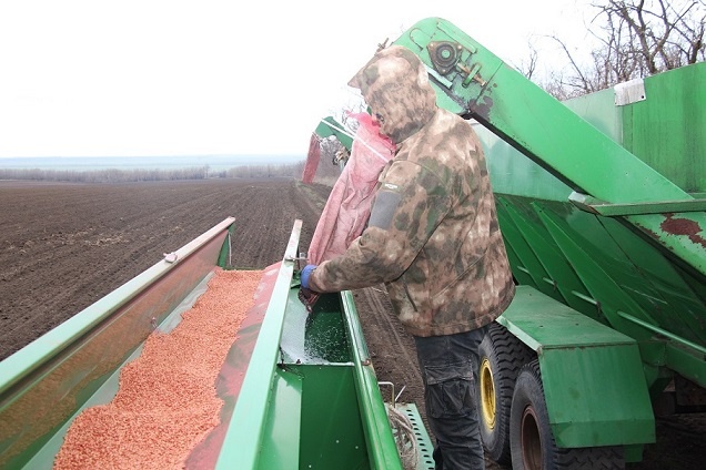    Фото из архива"РВ" Василий Шеин