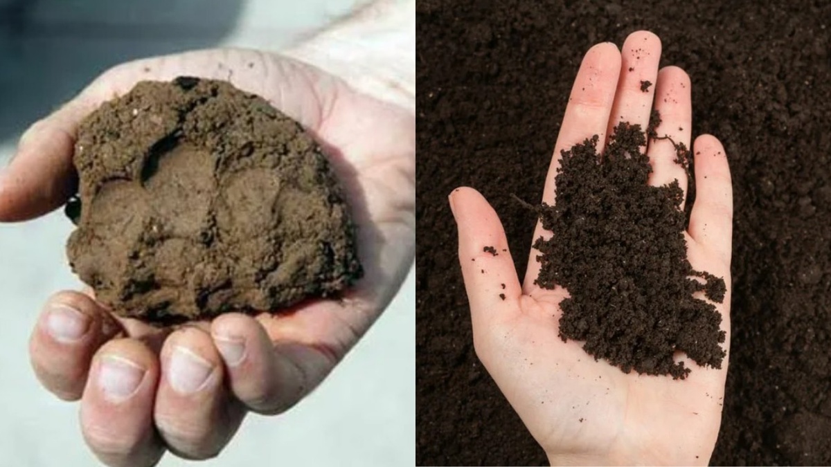 Такую разницу можно получить за 2-3 года правильной работы