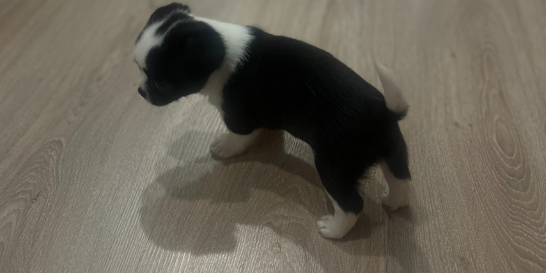 Как мы встретились с Кентом.