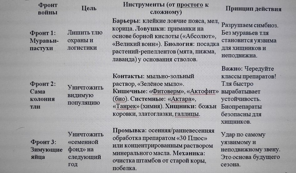 Таблица и фото Натальи Мироновой