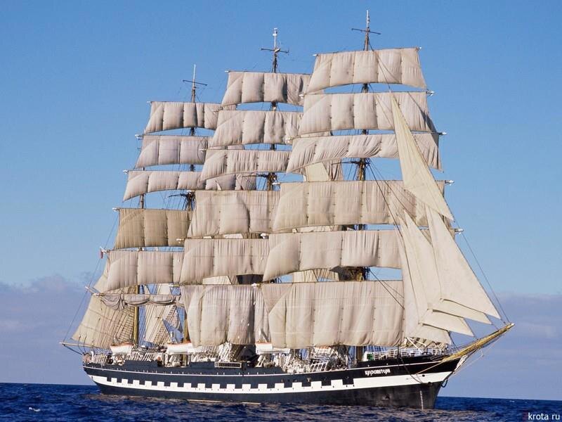 Взято из открытых источников