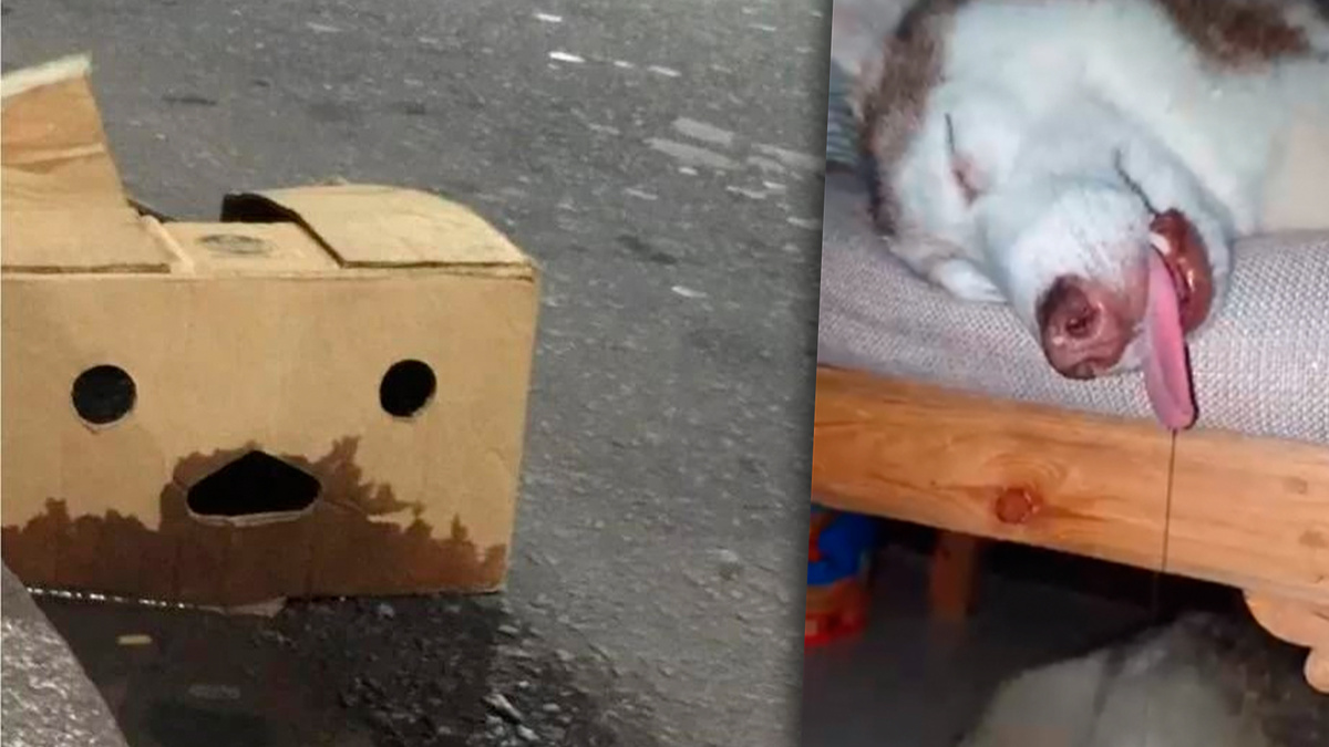 Фото с просторов интернета