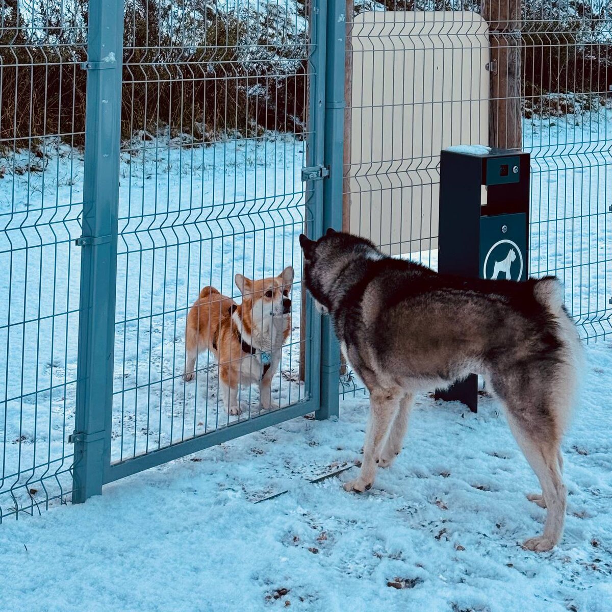 -2