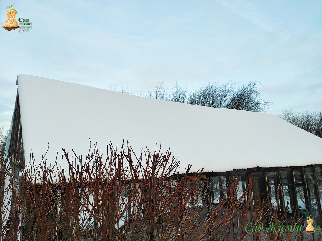 Что происходит в теплице зимой
