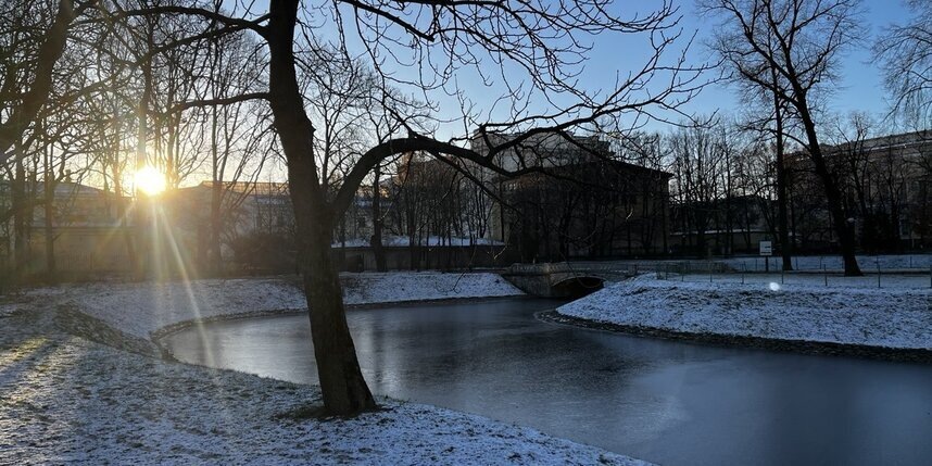    Анна Сирота