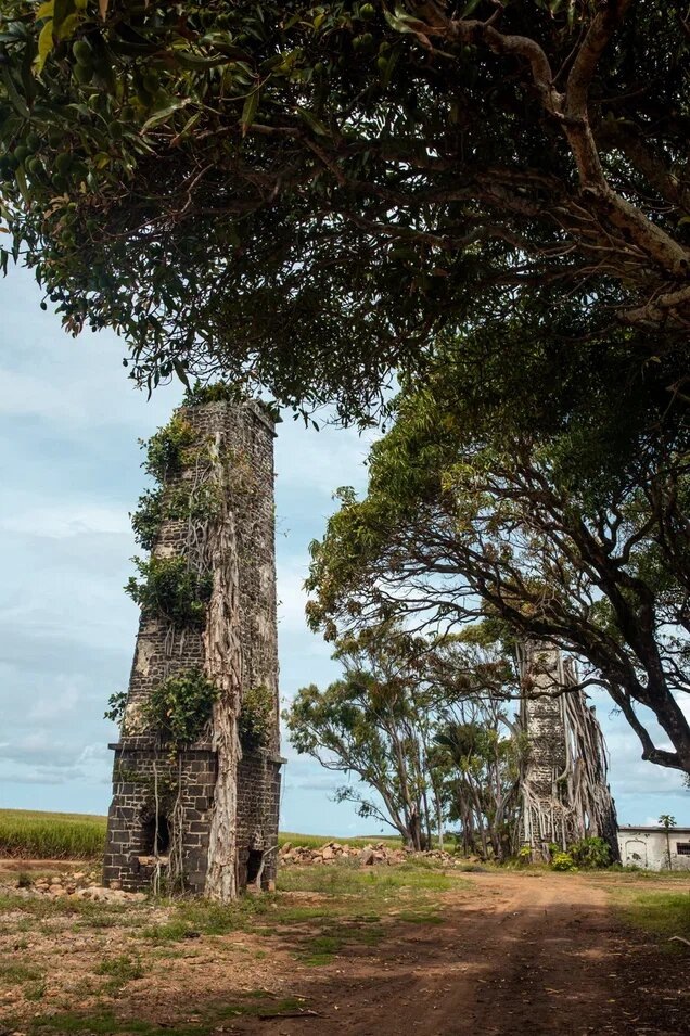 Горы на Маврикии сравнительно невысокие, зато очень зелёные. Некоторые из них, кстати, называются с поистине французским шармом Три груди (Trois Mamelles): как можно догадаться, горы куполообразной формы, заострённые к вершинам.