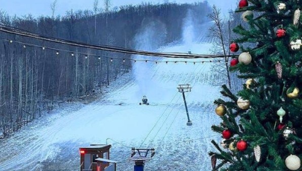    Фото: ГЛК "СОК"