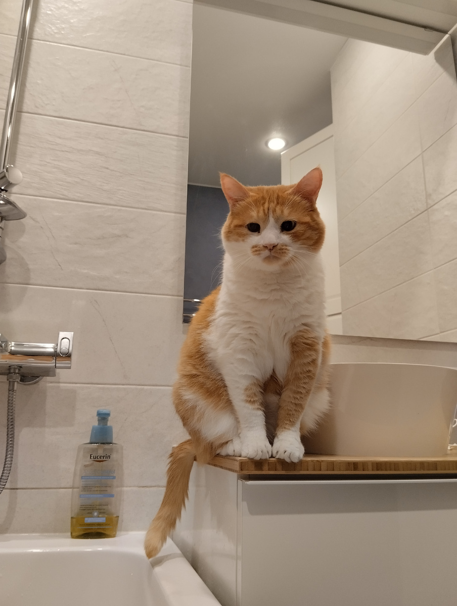 Ну вылезай уже! Мокро же, ты вообще нормальная?