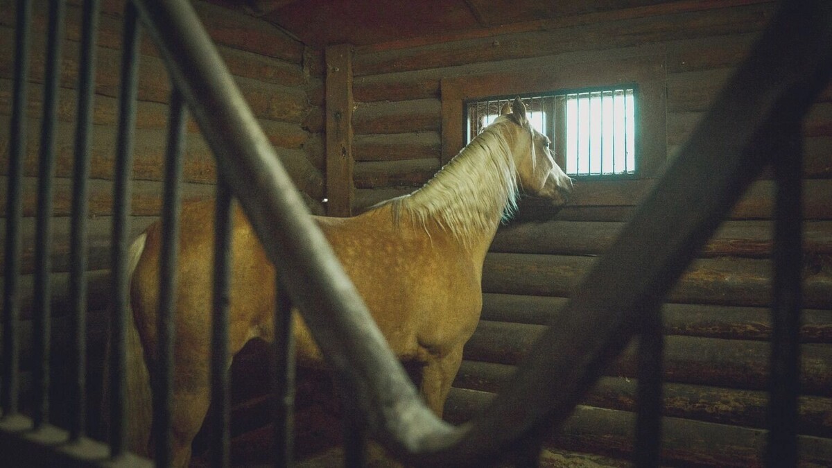     Источник: 1MI