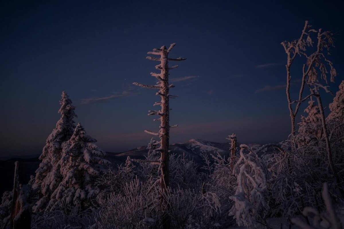 Гора Литовка (Фалаза), известная своей уникальной двойной вершиной, окутанная сумеречными тенями и укрытая снежным покровом. Поразительная красота и мощь природы. Фото: asha.katunin