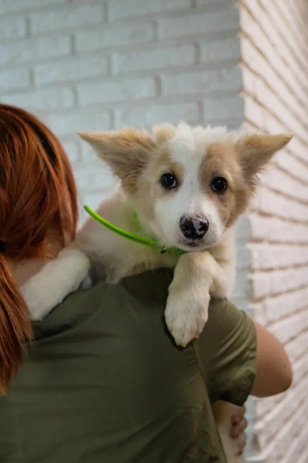 Время идёт, все очень быстро заканчивается...